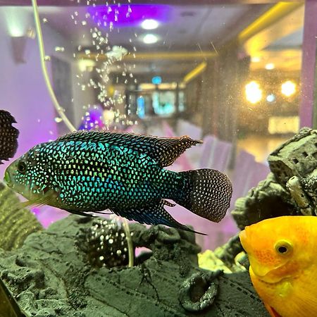 Eurohotel Swarzedz Bagian luar foto